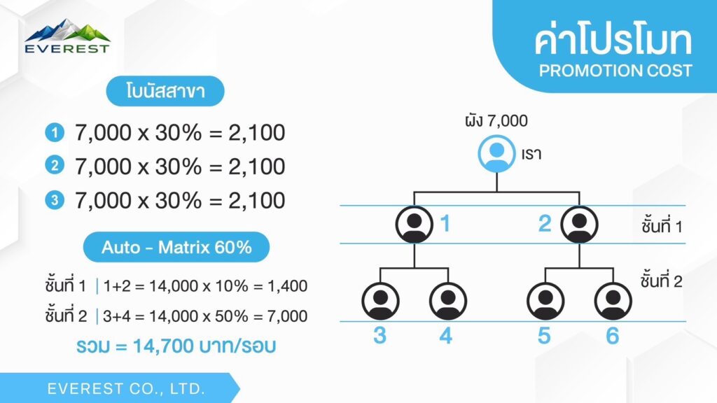 ผ่าแผนการตลาด Everest (6 นาที) 4